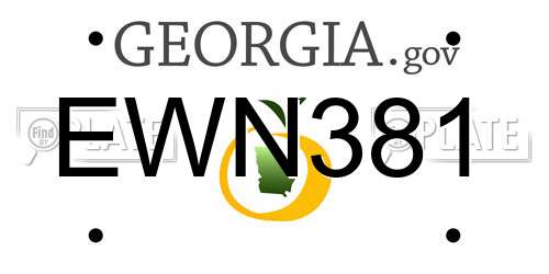 EWN381 Georgia License Plate