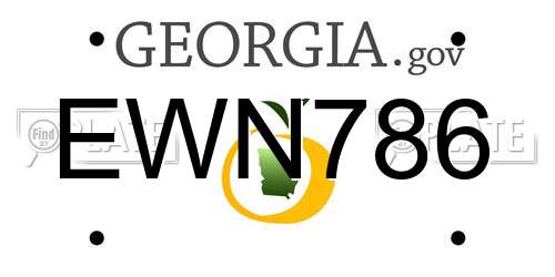 EWN786 Georgia License Plate