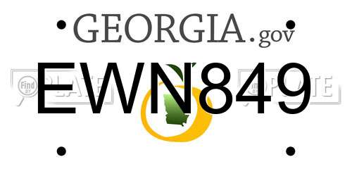 EWN849 Georgia License Plate