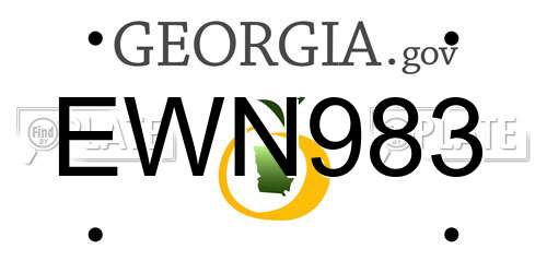 EWN983 Georgia License Plate