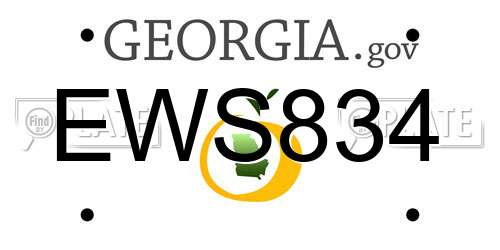EWS834 Georgia License Plate