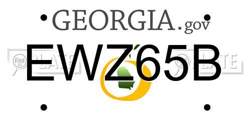 EWZ65B Georgia License Plate