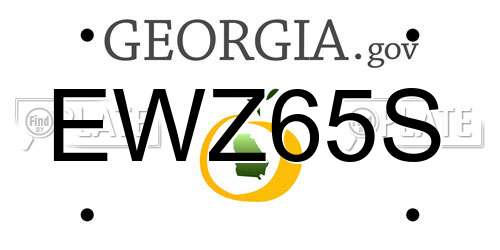 EWZ65S Georgia License Plate