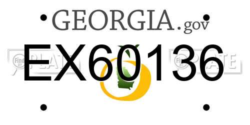 EX60136 Georgia License Plate