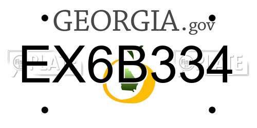 EX6B334 Georgia License Plate