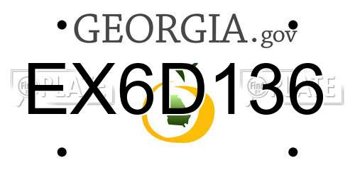 EX6D136 Georgia License Plate