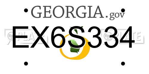 EX6S334 Georgia License Plate