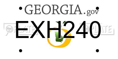EXH240 Georgia License Plate