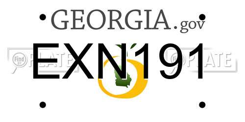 EXN191 Georgia License Plate