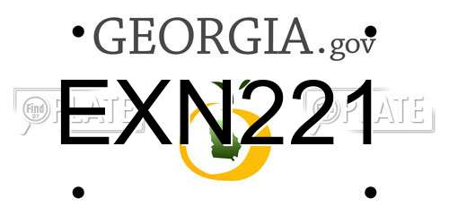 EXN221 Georgia License Plate