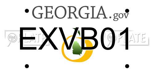 EXVB01 Georgia License Plate