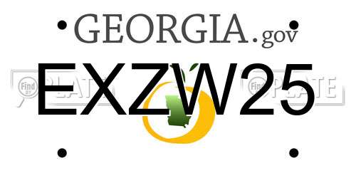 EXZW25 Georgia License Plate