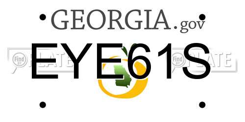 EYE61S Georgia License Plate
