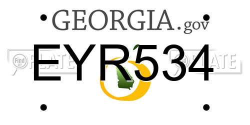 EYR534 Georgia License Plate