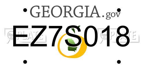 EZ7S018 Georgia License Plate