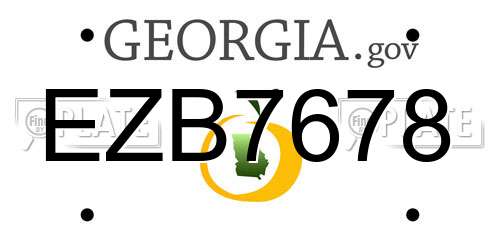 EZB7678 Georgia License Plate