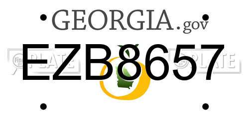 EZB8657 Georgia License Plate