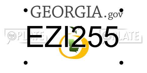 EZI255 Georgia License Plate