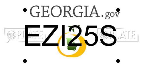EZI25S Georgia License Plate