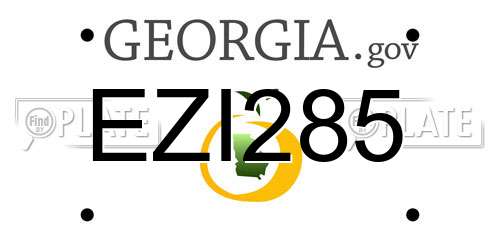 EZI285 Georgia License Plate