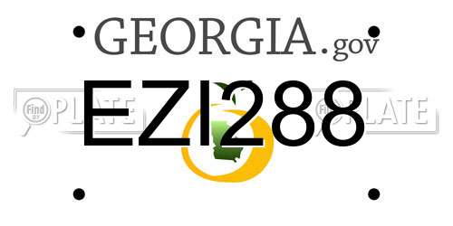 EZI288 Georgia License Plate