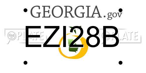 EZI28B Georgia License Plate