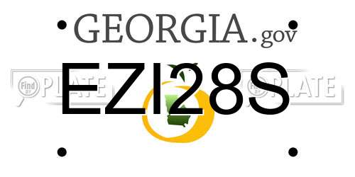 EZI28S Georgia License Plate