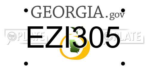 EZI305 Georgia License Plate