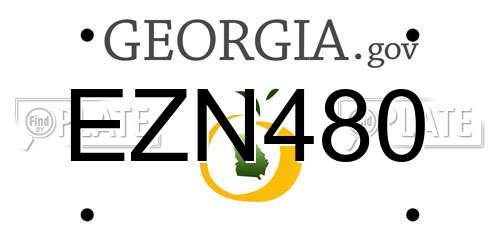 EZN480 Georgia License Plate