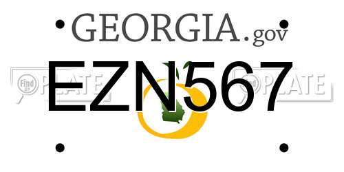 EZN567 Georgia License Plate