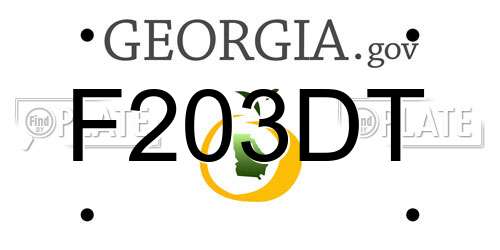 F203DT Georgia License Plate