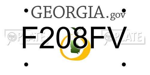 F208FV Georgia License Plate