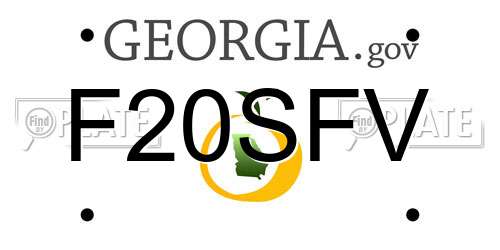 F20SFV Georgia License Plate