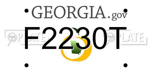 F2230T Georgia License Plate