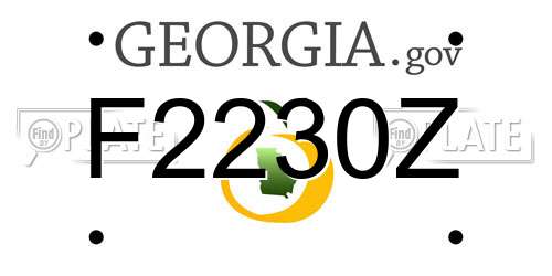 F2230Z Georgia License Plate