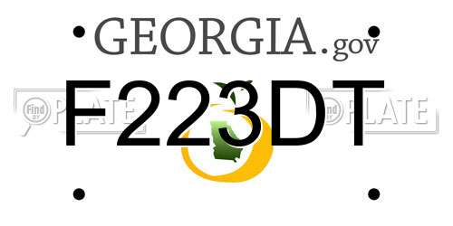 F223DT Georgia License Plate