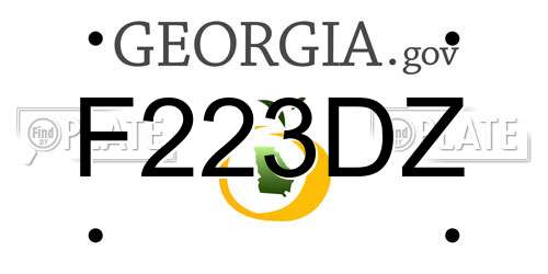 F223DZ Georgia License Plate