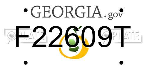 F22609T Georgia License Plate
