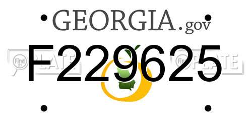 F229625 Georgia License Plate