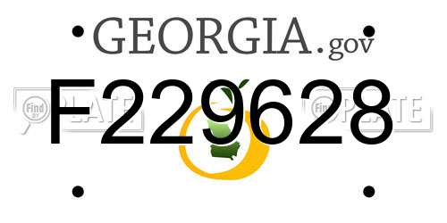 F229628 Georgia License Plate