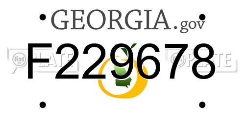 F229678 Georgia License Plate