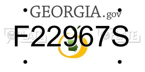 F22967S Georgia License Plate