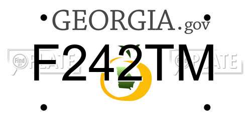 F242TM Georgia License Plate