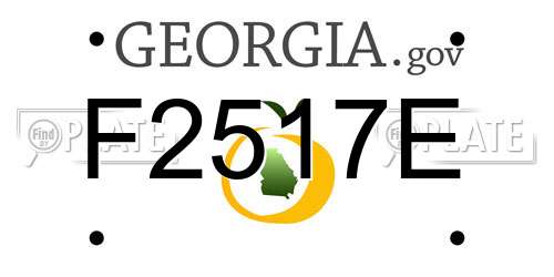 F2517E Georgia License Plate