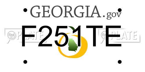 F251TE Georgia License Plate