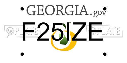 F25IZE Georgia License Plate