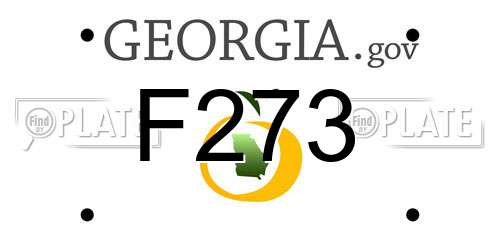 F273 Georgia License Plate