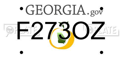 F273OZ Georgia License Plate