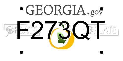 F273QT Georgia License Plate