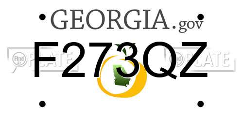 F273QZ Georgia License Plate